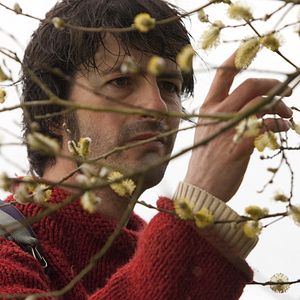 Bilder J'demande pas la lune, juste quelques étoiles