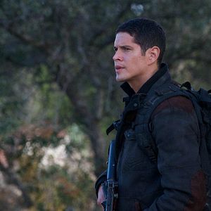 Bilder Revolution (2012)