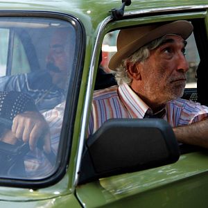 Bilder Sürgün İnek