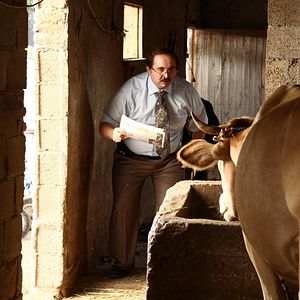 Bilder Burak Satıbol