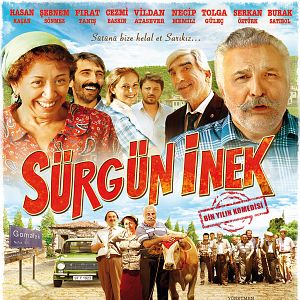 Bilder Sürgün İnek