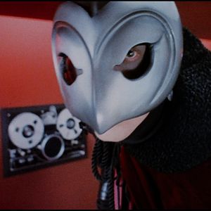 Bilder Das Phantom im Paradies