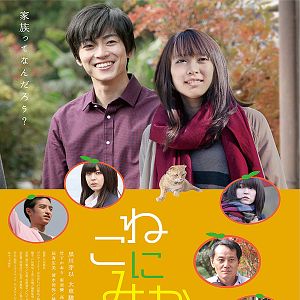 Bilder Neko ni Mikan