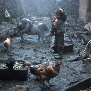 Bilder Allein in den Bergen von Yunnan