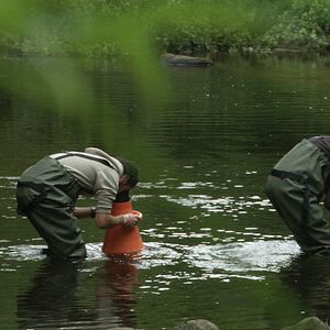 Bilder La Ligne de partage des eaux