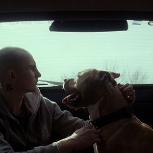 Bilder My Dog Killer