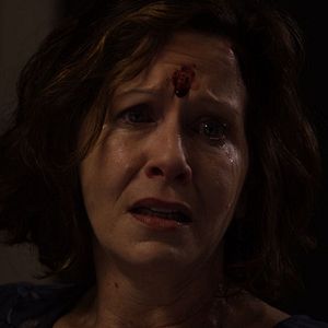 Bilder The Bleeding House