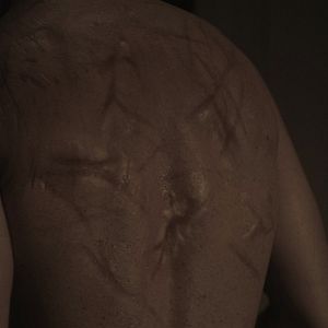 Bilder The Bleeding House