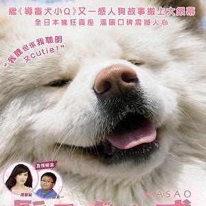 Bilder Chiko - Eine Freundschaft fürs Leben