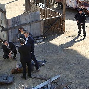 Bilder Emily Swallow