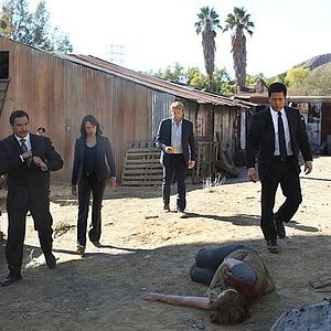 Bilder Emily Swallow