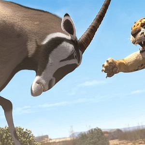 Bilder Khumba - Das Zebra ohne Streifen am Popo