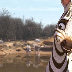 Bilder Khumba - Das Zebra ohne Streifen am Popo