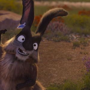 Bilder Khumba - Das Zebra ohne Streifen am Popo