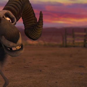 Bilder Khumba - Das Zebra ohne Streifen am Popo