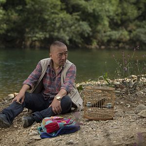 Bilder The Nightingale