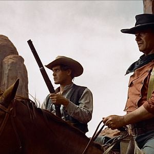 Bilder Der Schwarze Falke