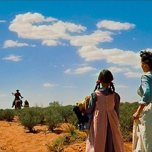 Bilder Der Schwarze Falke