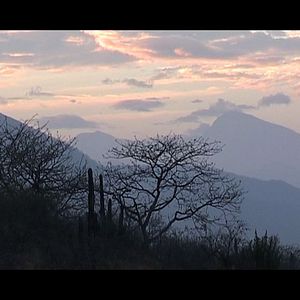 Bilder Chaparri, les sept ours de la montagne sacrée