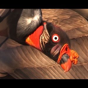 Bilder Chaparri, les sept ours de la montagne sacrée