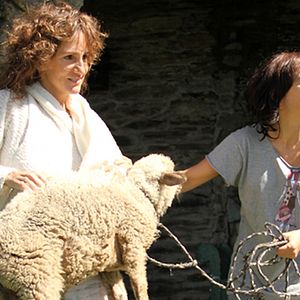 Bilder El sexo de las madres