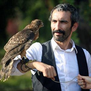 Bilder Karınca Kapanı