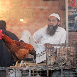 Bilder Fascinating India 3D