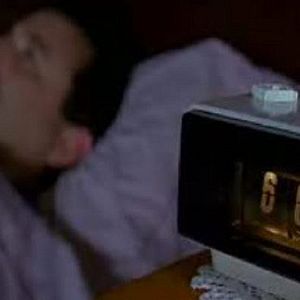 Bilder Und täglich grüßt das Murmeltier