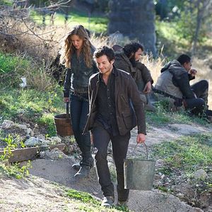 Bilder Tracy Spiridakos