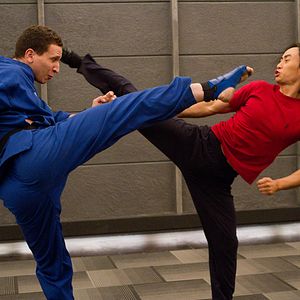 Bilder Man Of Tai Chi