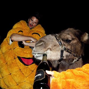 Bilder Grégoire Ludig