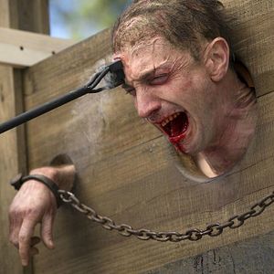 Bilder Iddo Goldberg