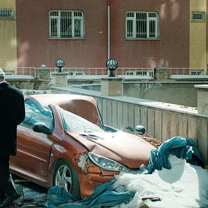 Bilder Hayatboyu - Lifelong