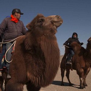 Bilder Die Reise zum sichersten Ort der Erde