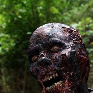 Bilder The Walking Dead