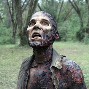 Bilder The Walking Dead