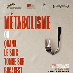 Bilder Când se lasa seara peste Bucuresti sau metabolism