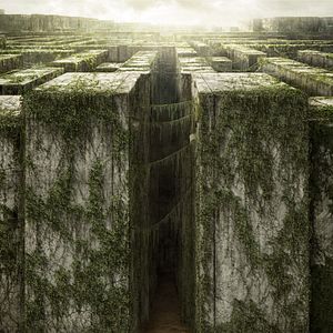 Bilder Maze Runner - Die Auserwählten im Labyrinth