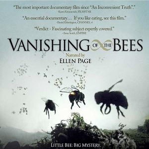 Bilder Bienen - Himmelsvolk in Gefahr