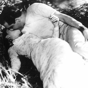 Bilder Eine Landpartie