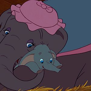 Bilder Dumbo, der fliegende Elefant