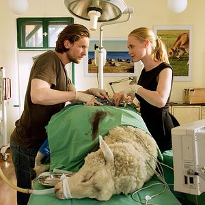 Bilder Bert Tischendorf