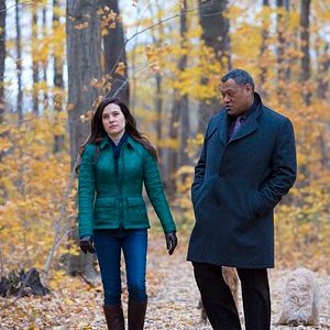 Bilder Caroline Dhavernas