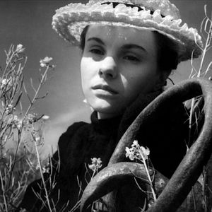 Bilder Tödliche Leidenschaft