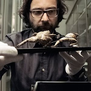 Bilder Das große Museum