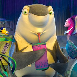 Bilder Große Haie - Kleine Fische