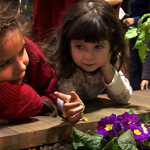 Bilder Being and Becoming