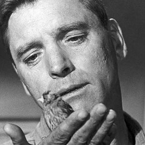 Bilder Der Gefangene von Alcatraz