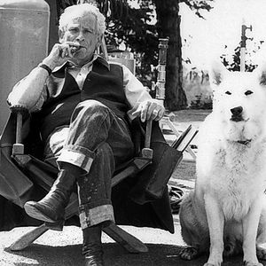 Bilder Die Weiße Bestie