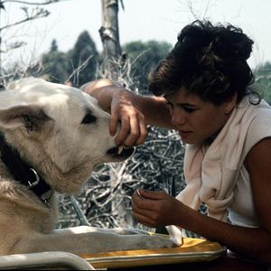 Bilder Die Weiße Bestie